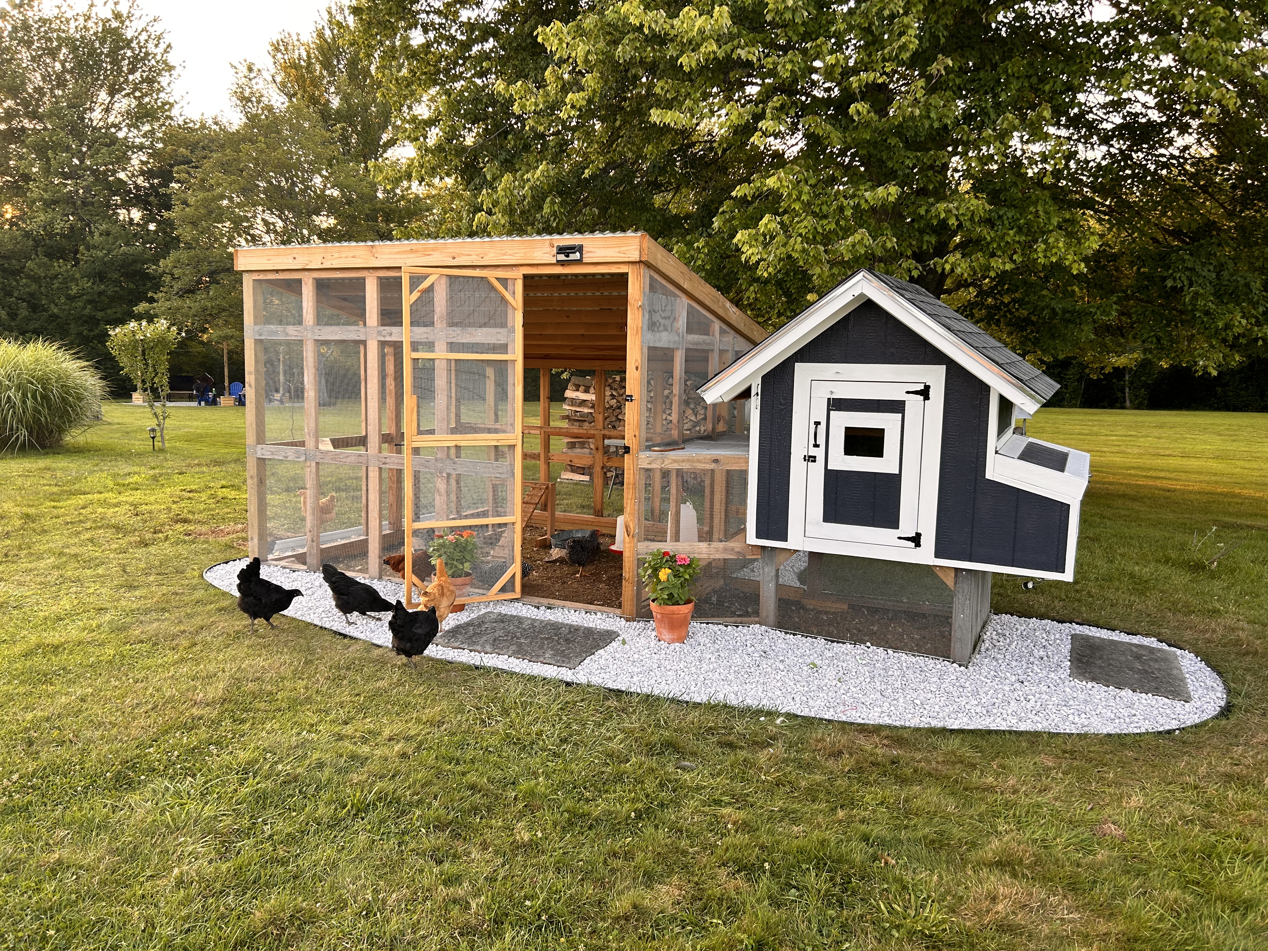 Avatar for Chris Larson