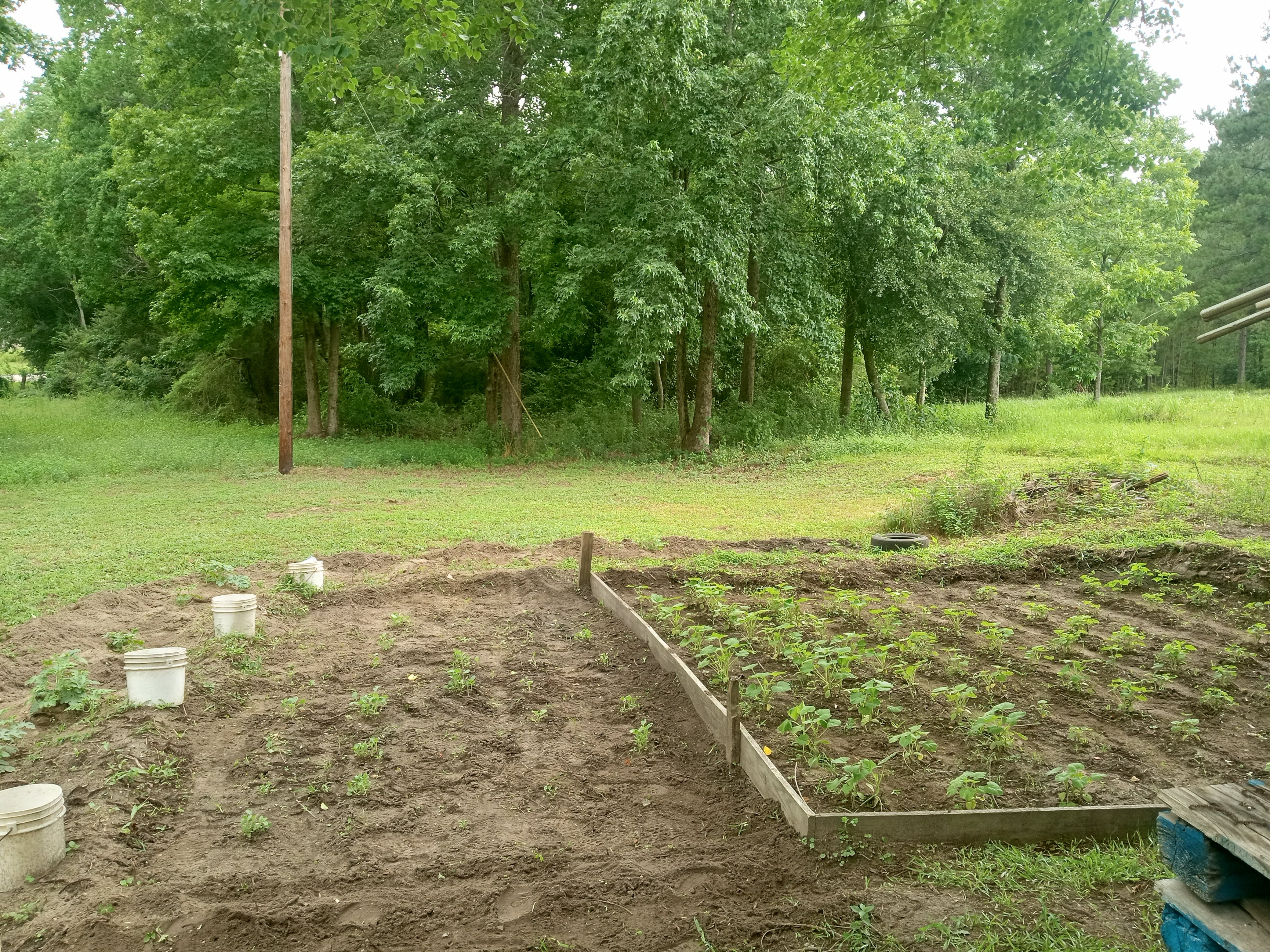 Avatar for Cutty's Landscaping and Concrete