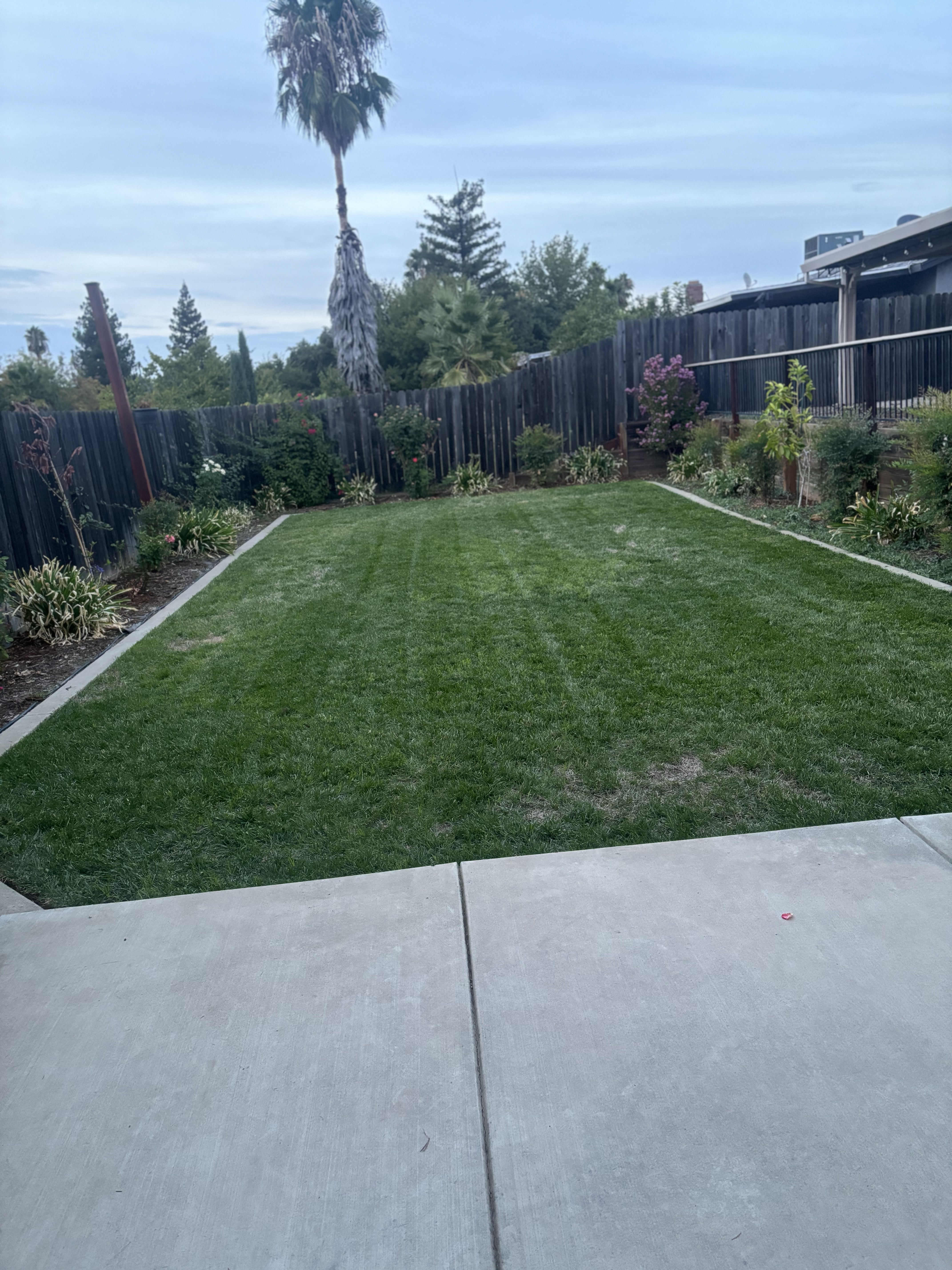 Avatar for Beyond Lawns