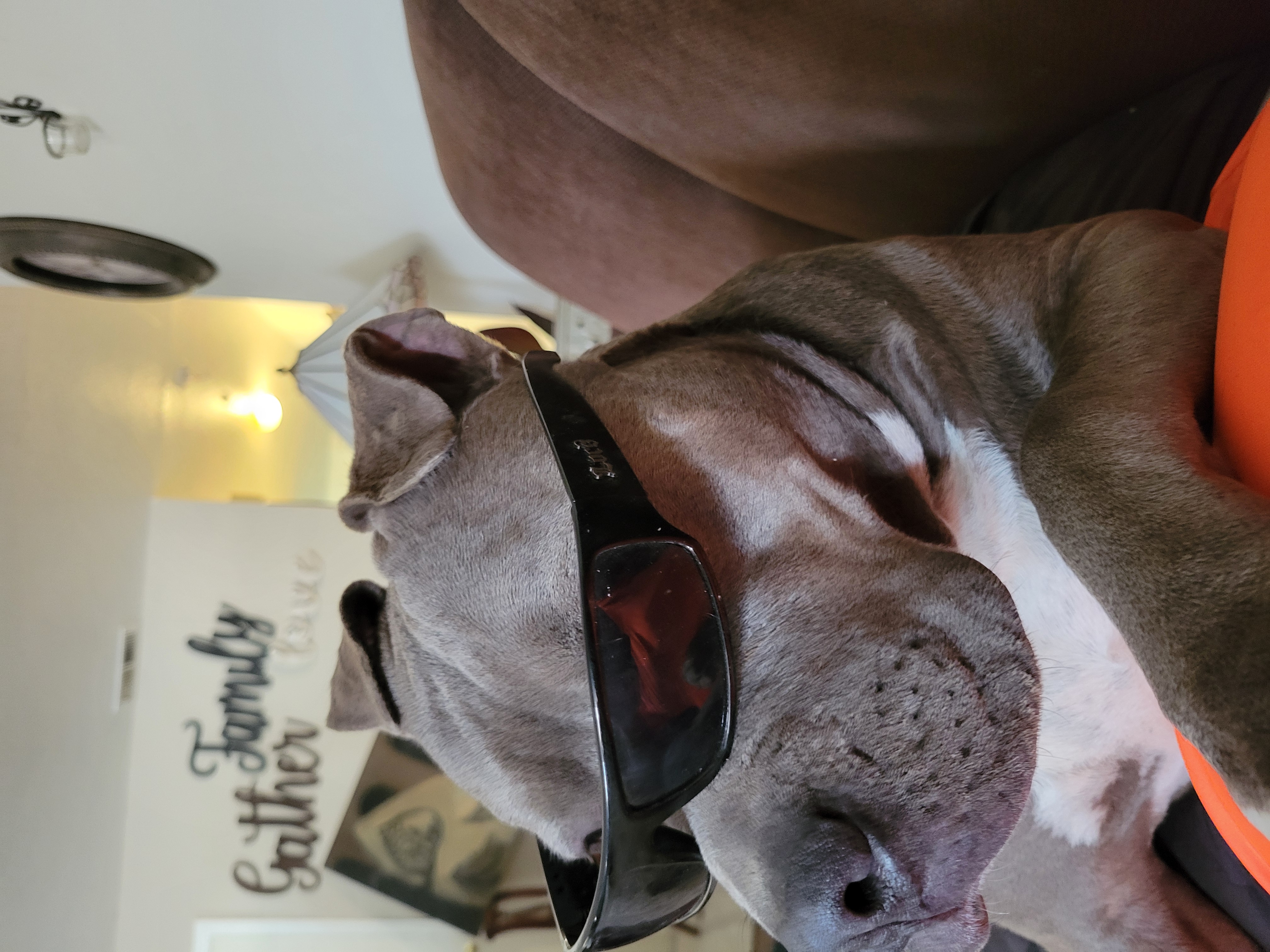 Steve's painting logo