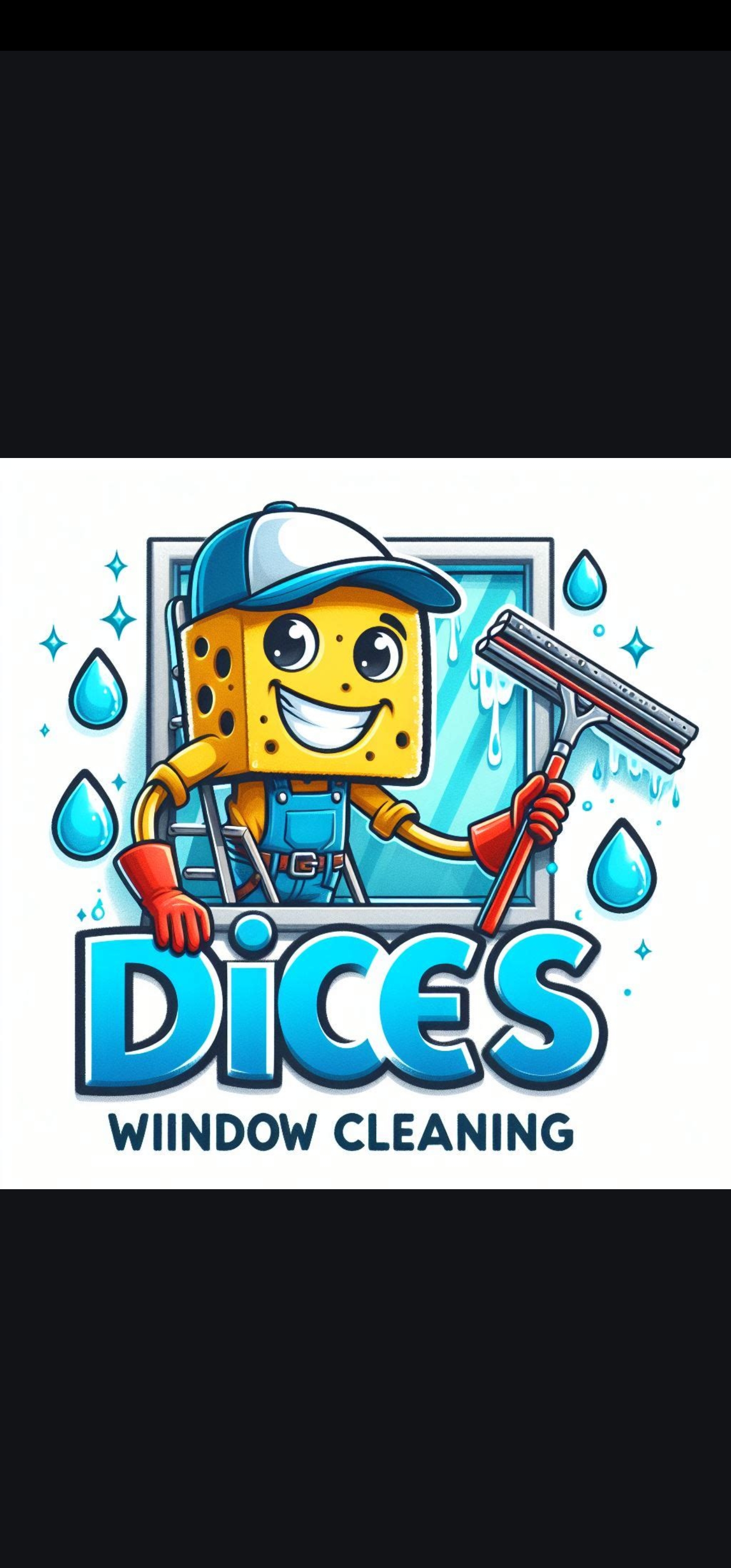 Dices Window Cleaning logo