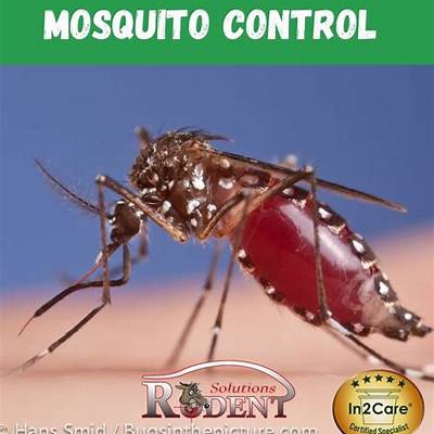 Avatar for Mosquito Man