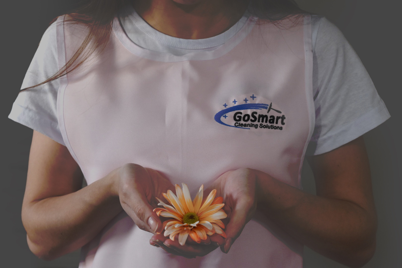 GoSmart Cleaning Solutions logo