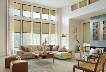 Bumble Bee Blinds of Buckhead logo