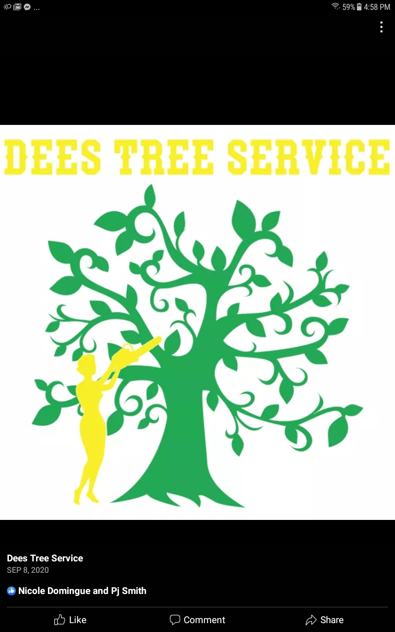 Avatar for DEE’S TREES