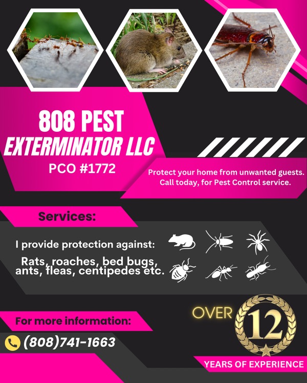 808 Pest Exterminator LLC logo