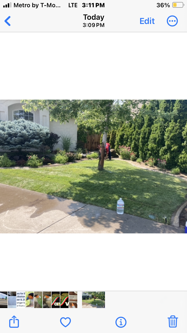 Avatar for JUNIORS LAWN CARE