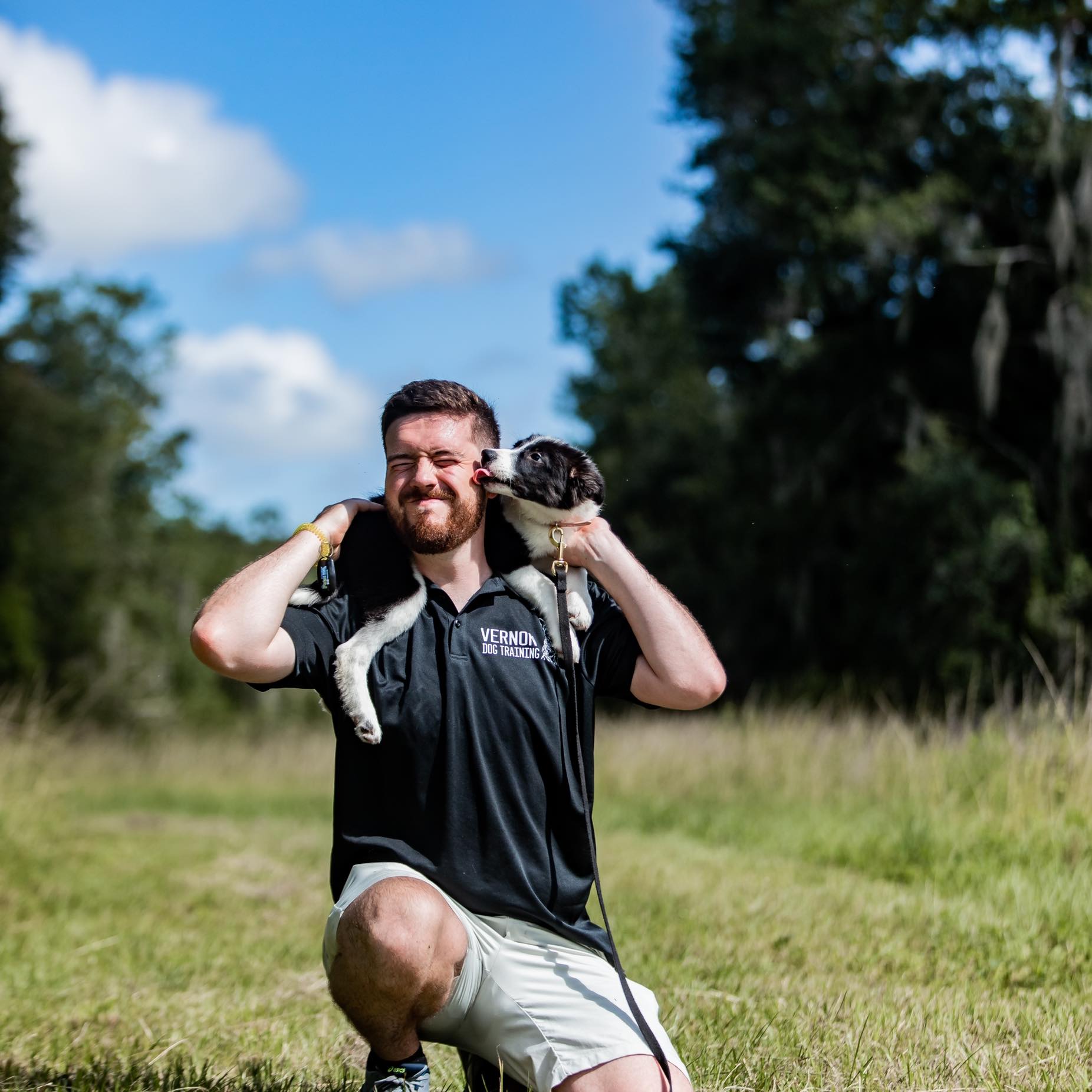 Avatar for Vernon Dog Training