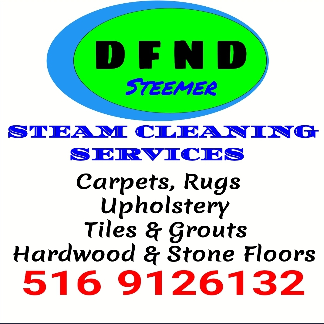 DFND Steam Solutions logo
