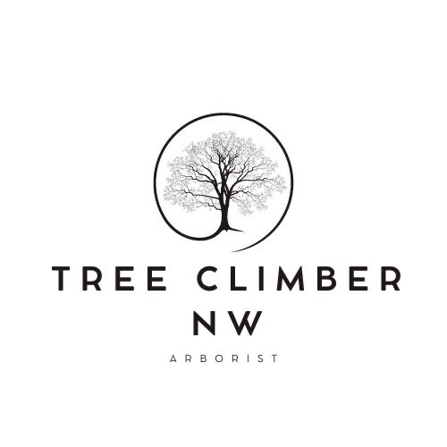 Avatar for Tree Climber NW