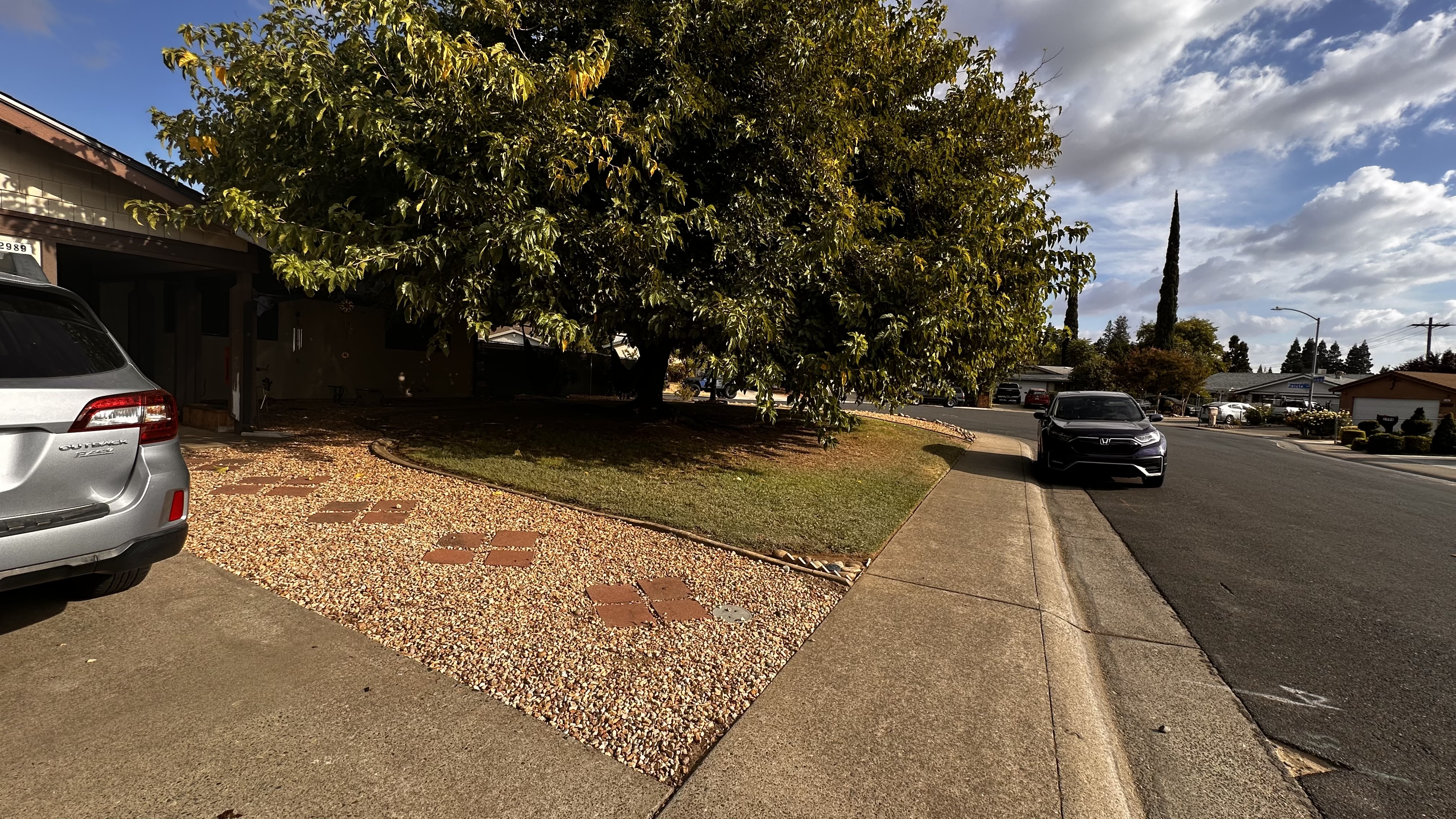 Avatar for Residential Lawn Care Service's