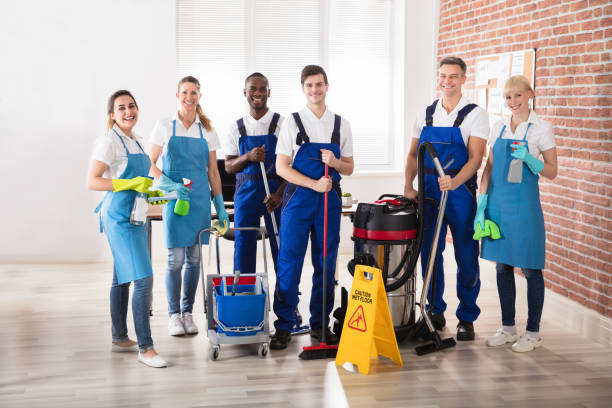 D-Valisa Management and Cleaning logo