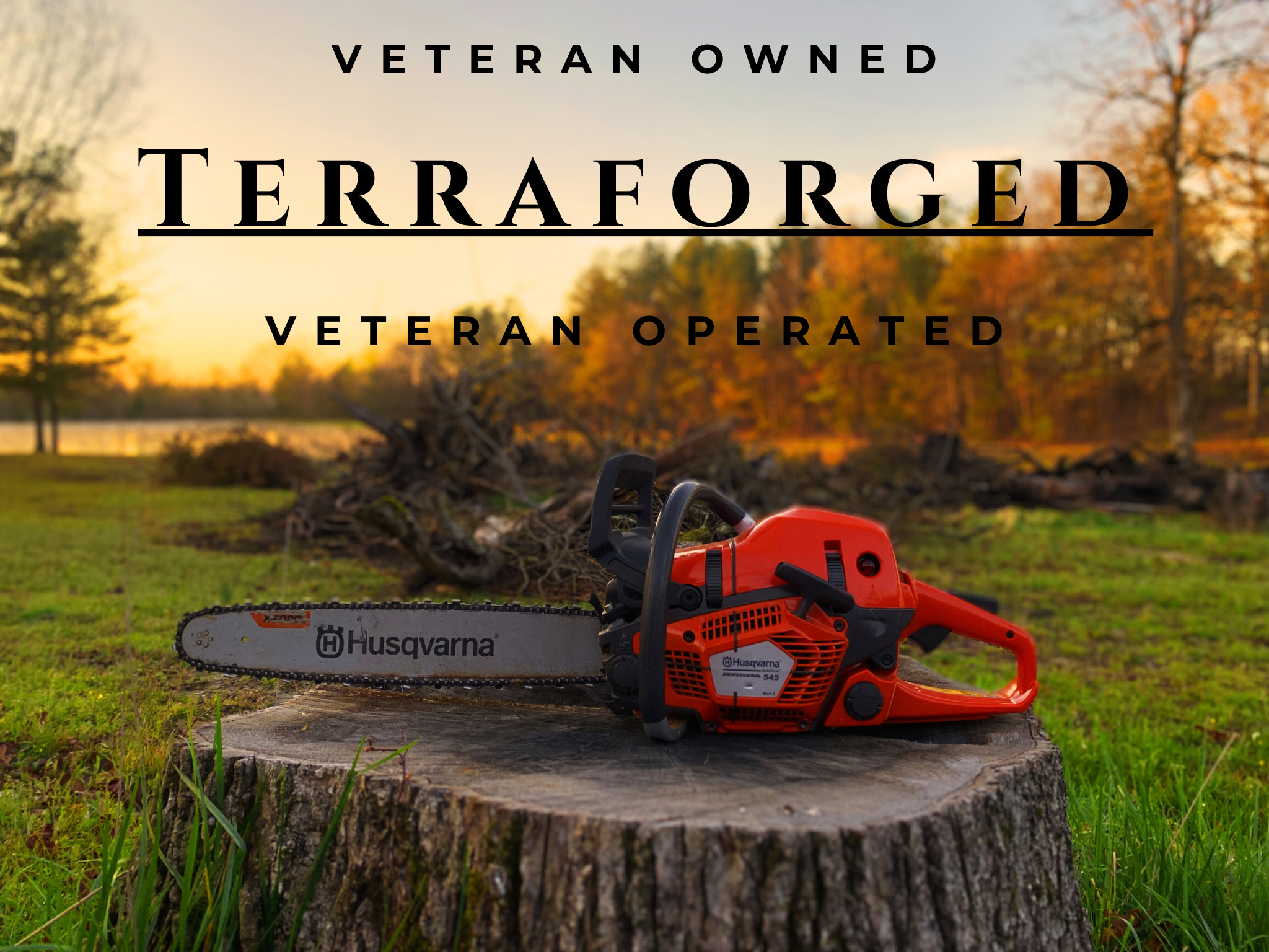 Avatar for TerraForged Solutions LLC