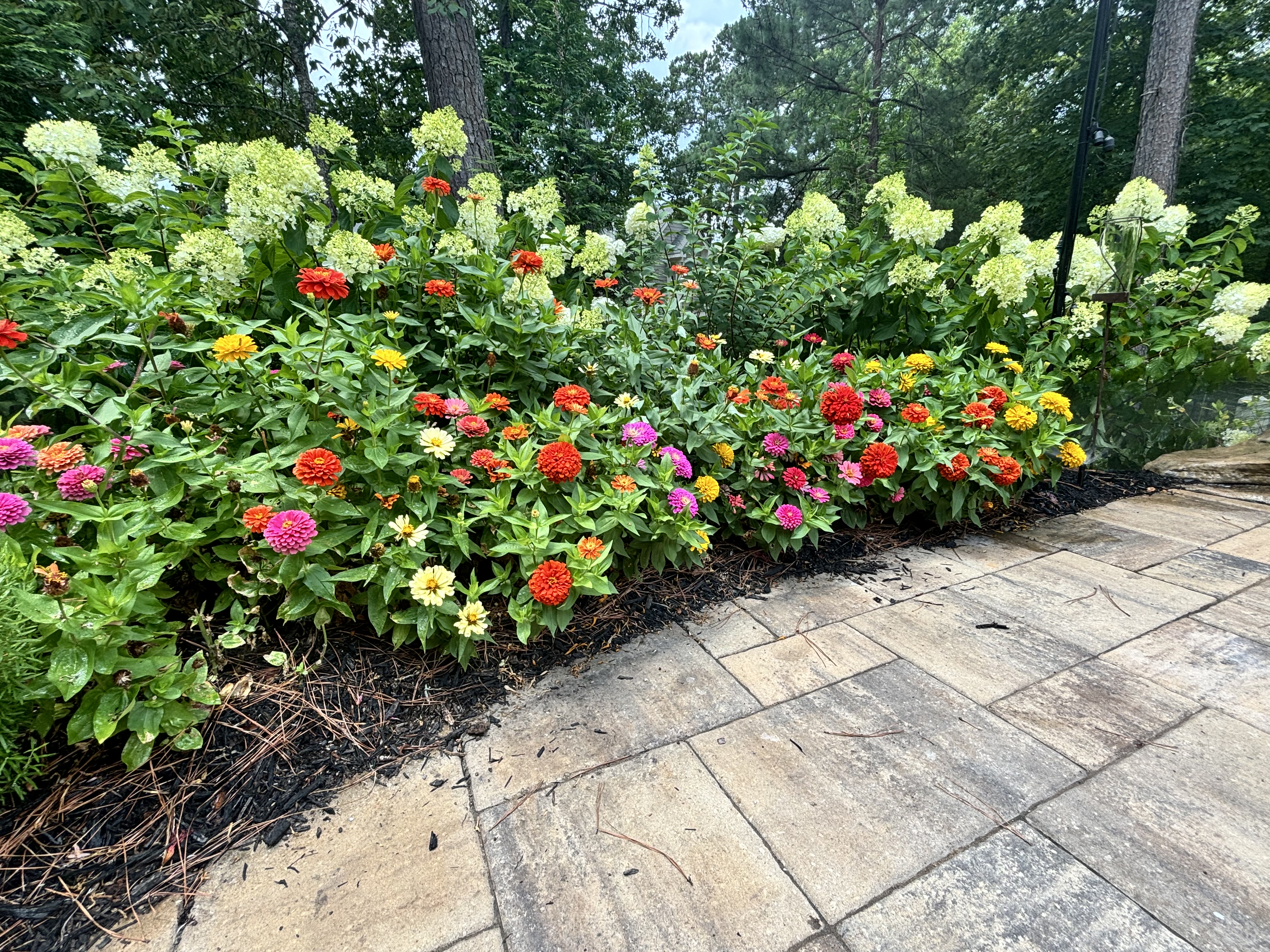 Grandiflora Outdoor Creations logo