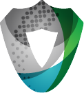 NextGen Security Systems LLC logo