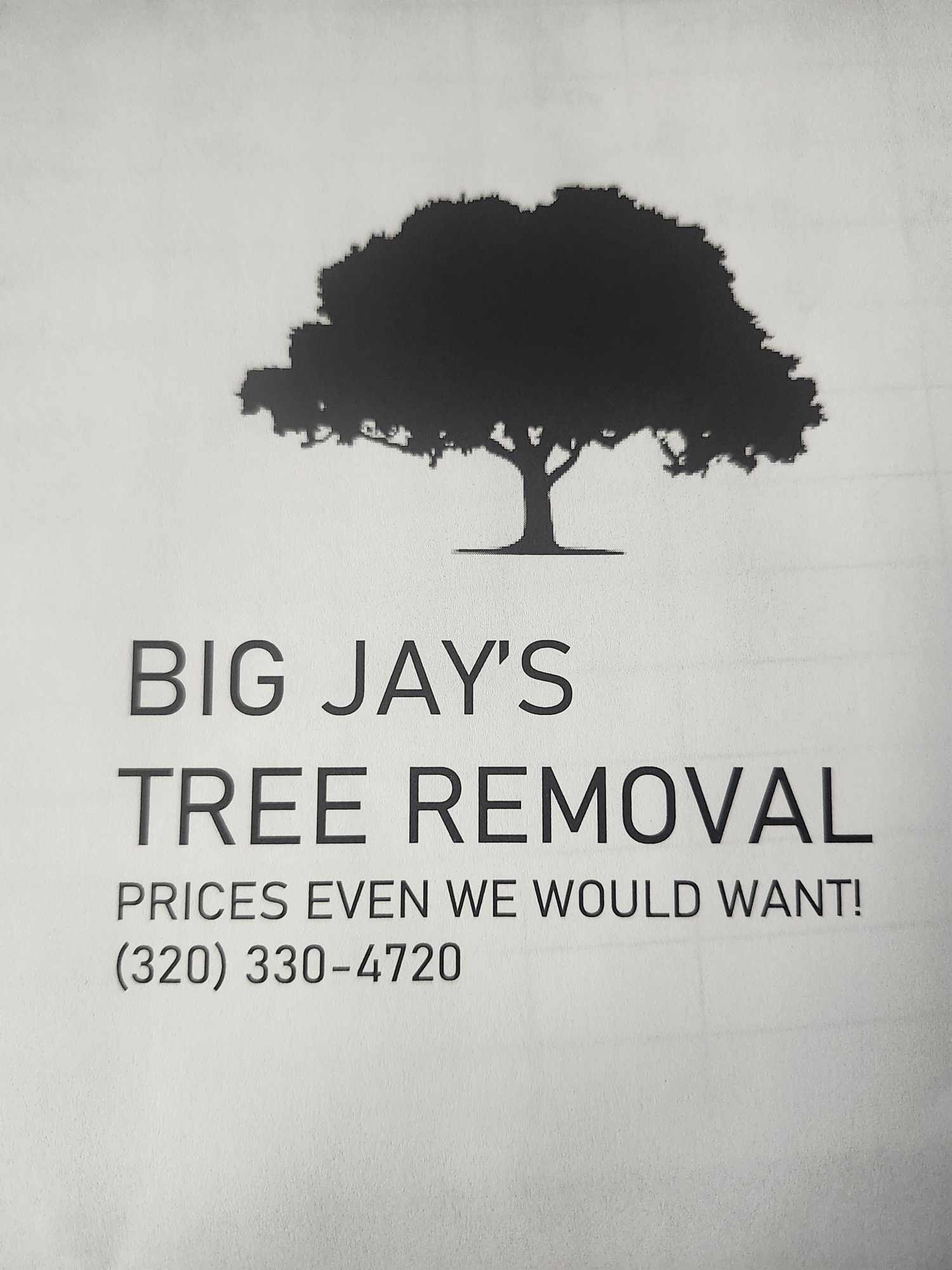 Big Jay's Tree Removal logo