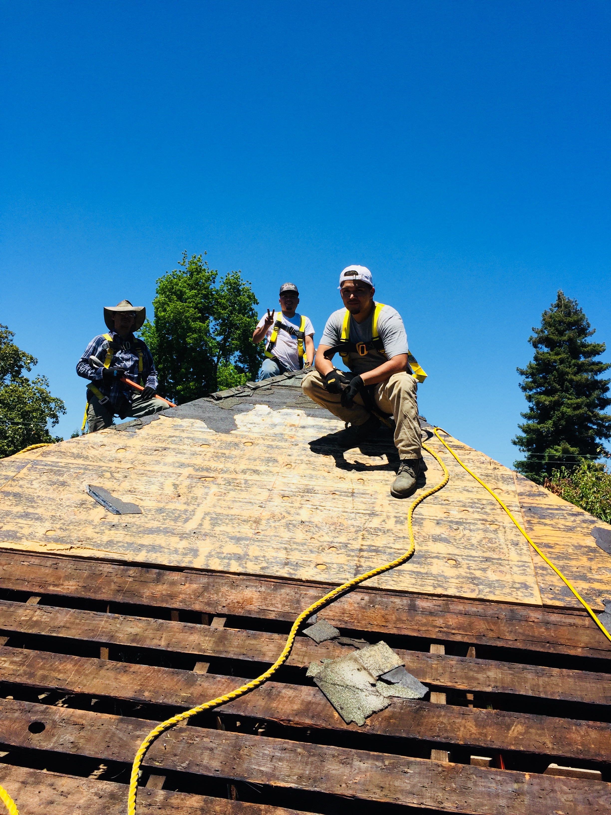 Skilled carpenter all trades logo
