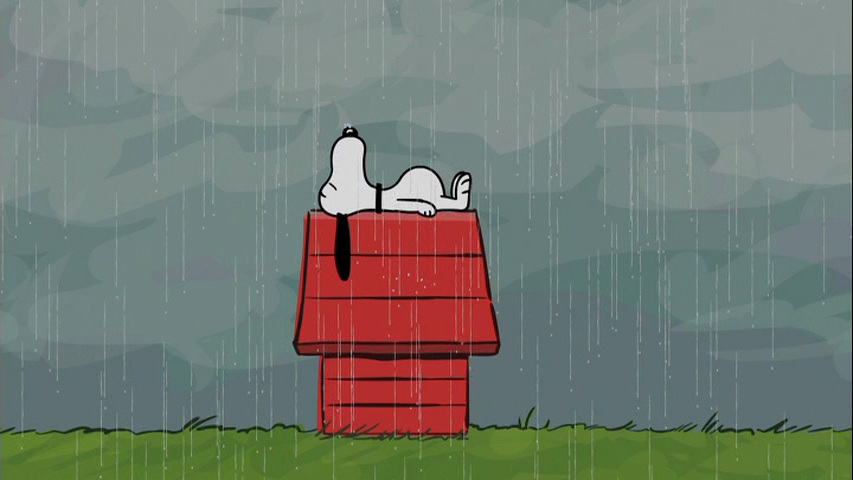 Avatar for D&C Cleaning