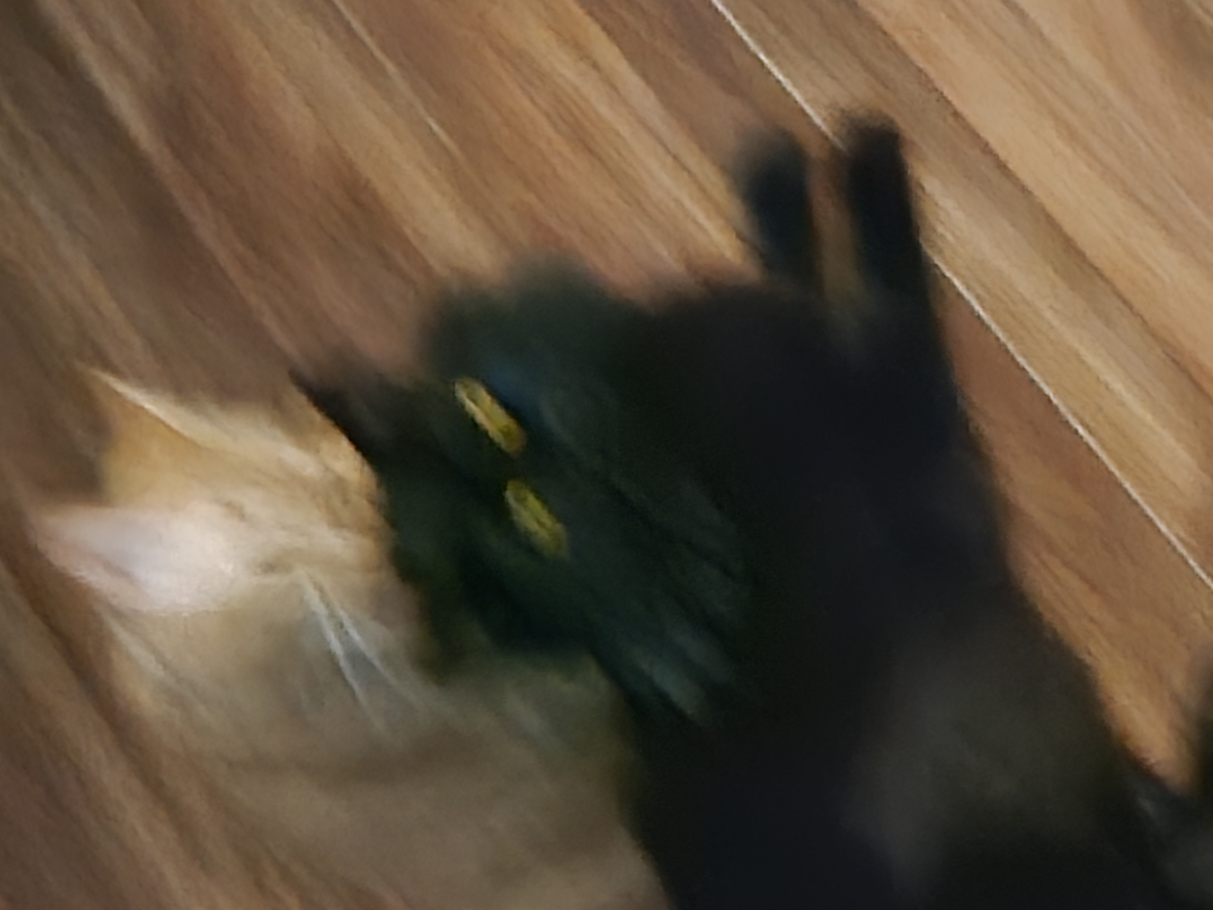 Avatar for Green leaf care