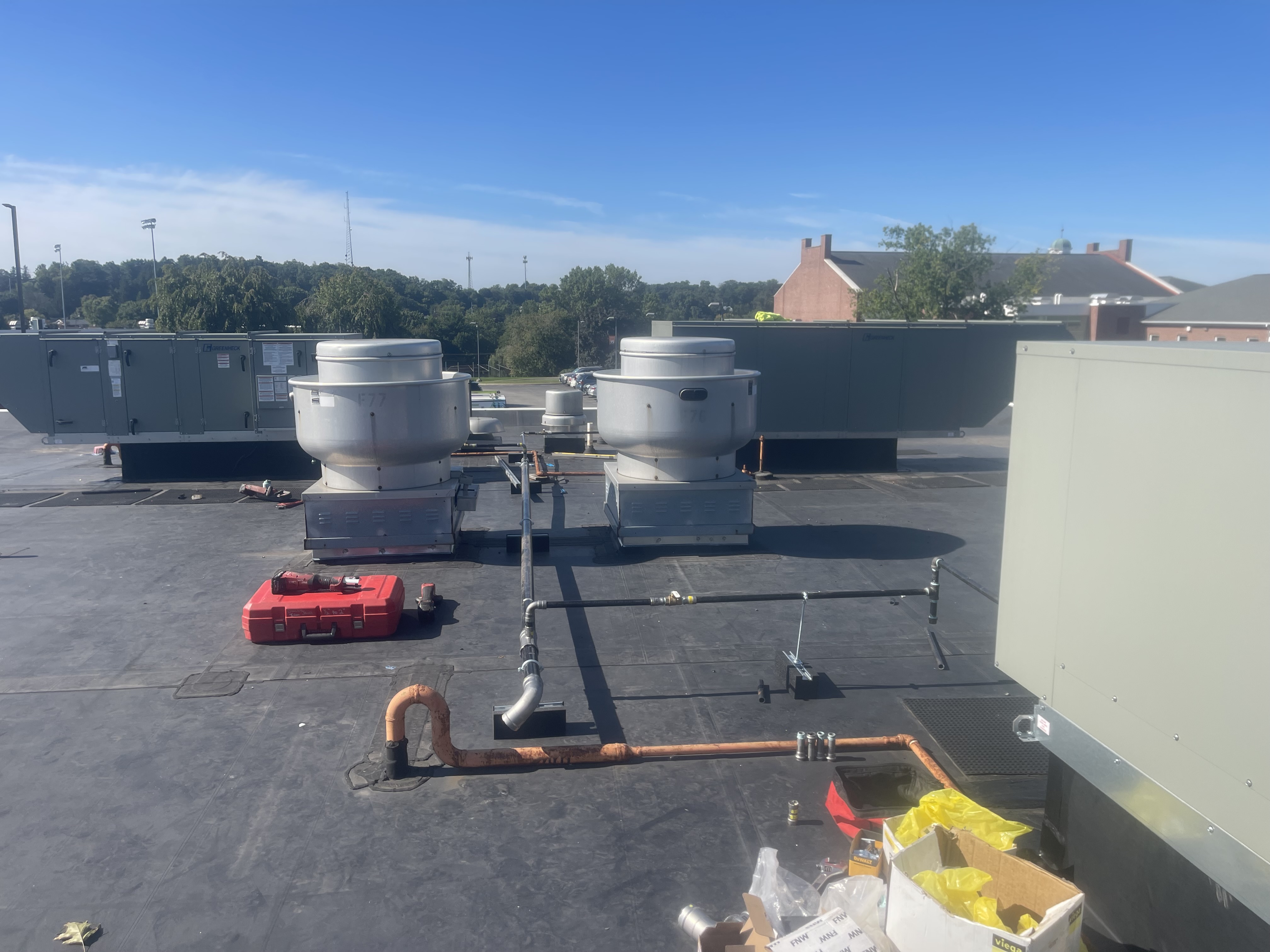 Avatar for Rowan Biedelman