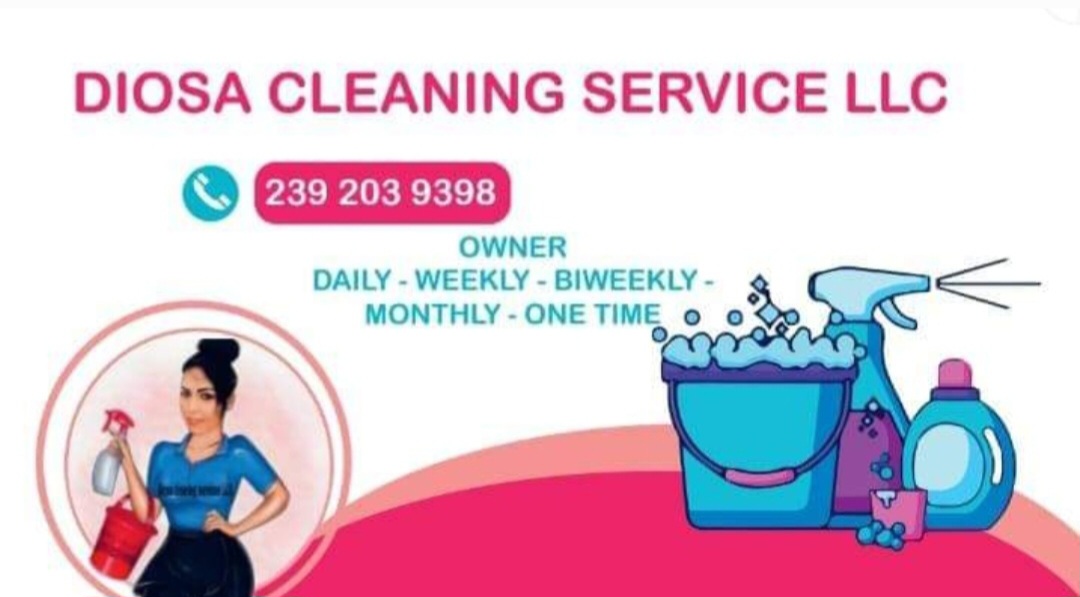 Logo for Diosa cleaning