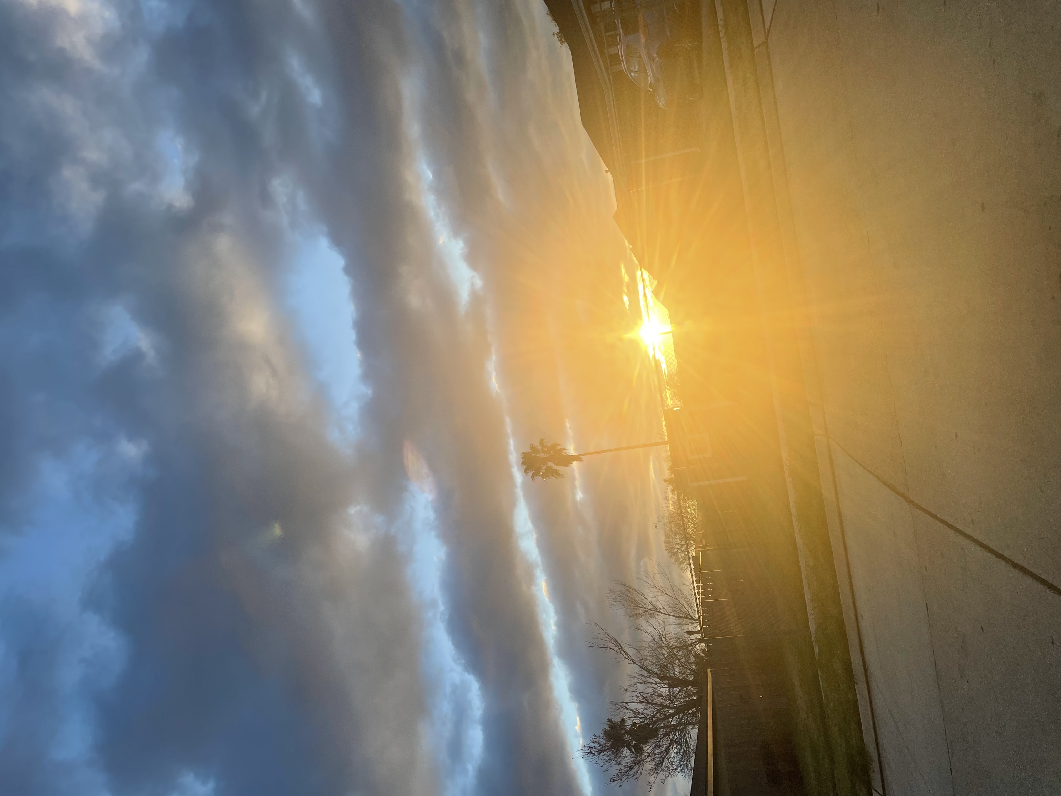 Avatar for missippiana