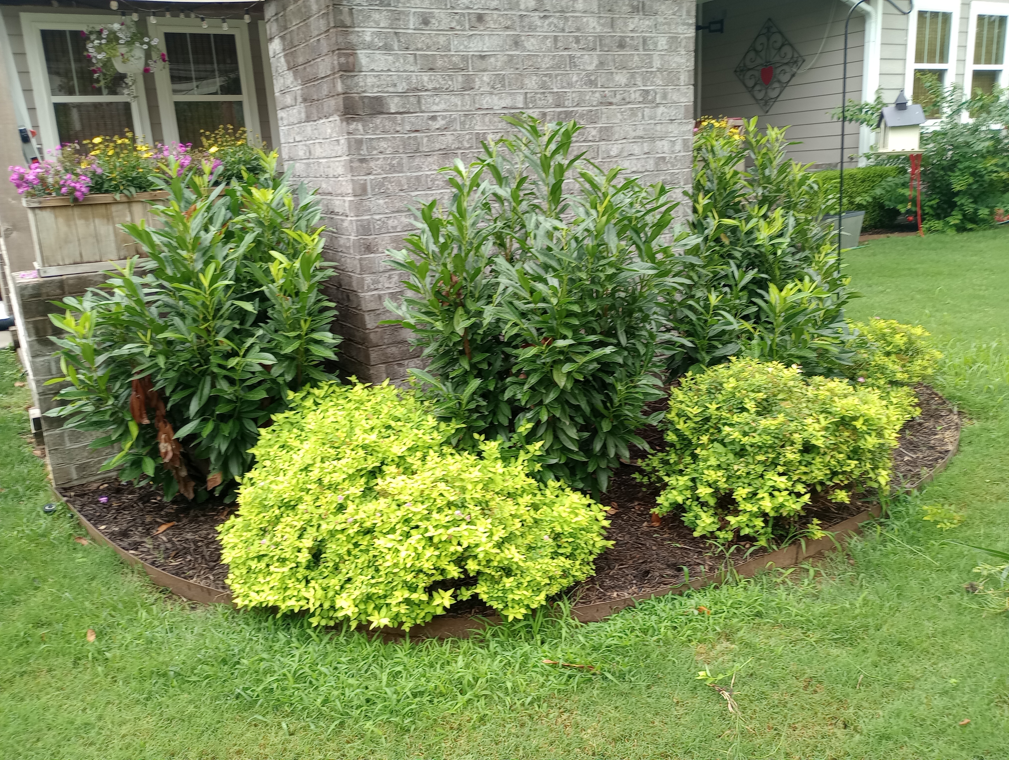 Serranos Landscape.and plus services logo