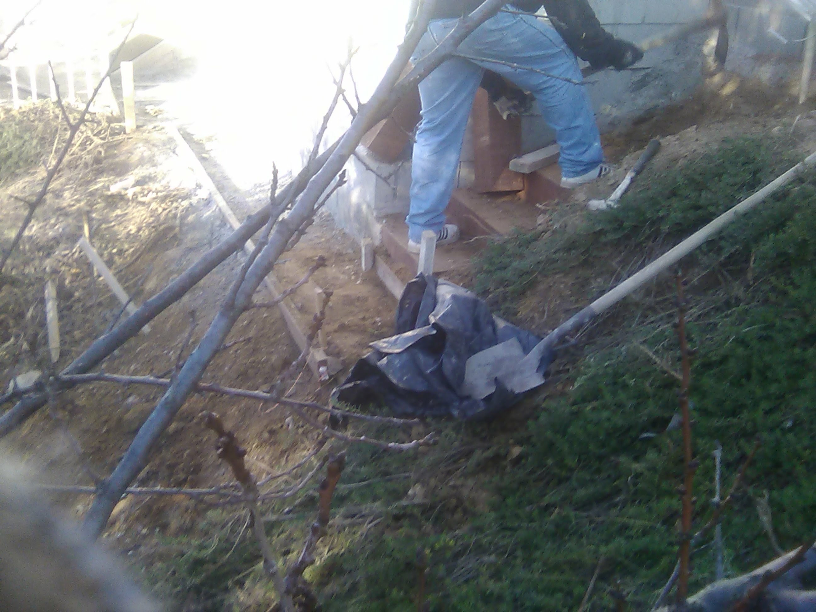 Avatar for Carrillo's Construction