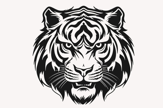 Avatar for Chase whitson