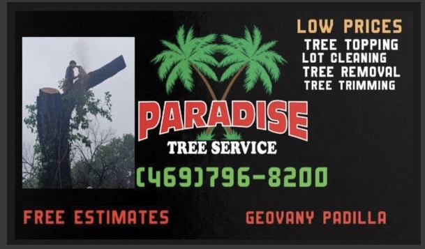 Avatar for Paradise tree service and Gardener