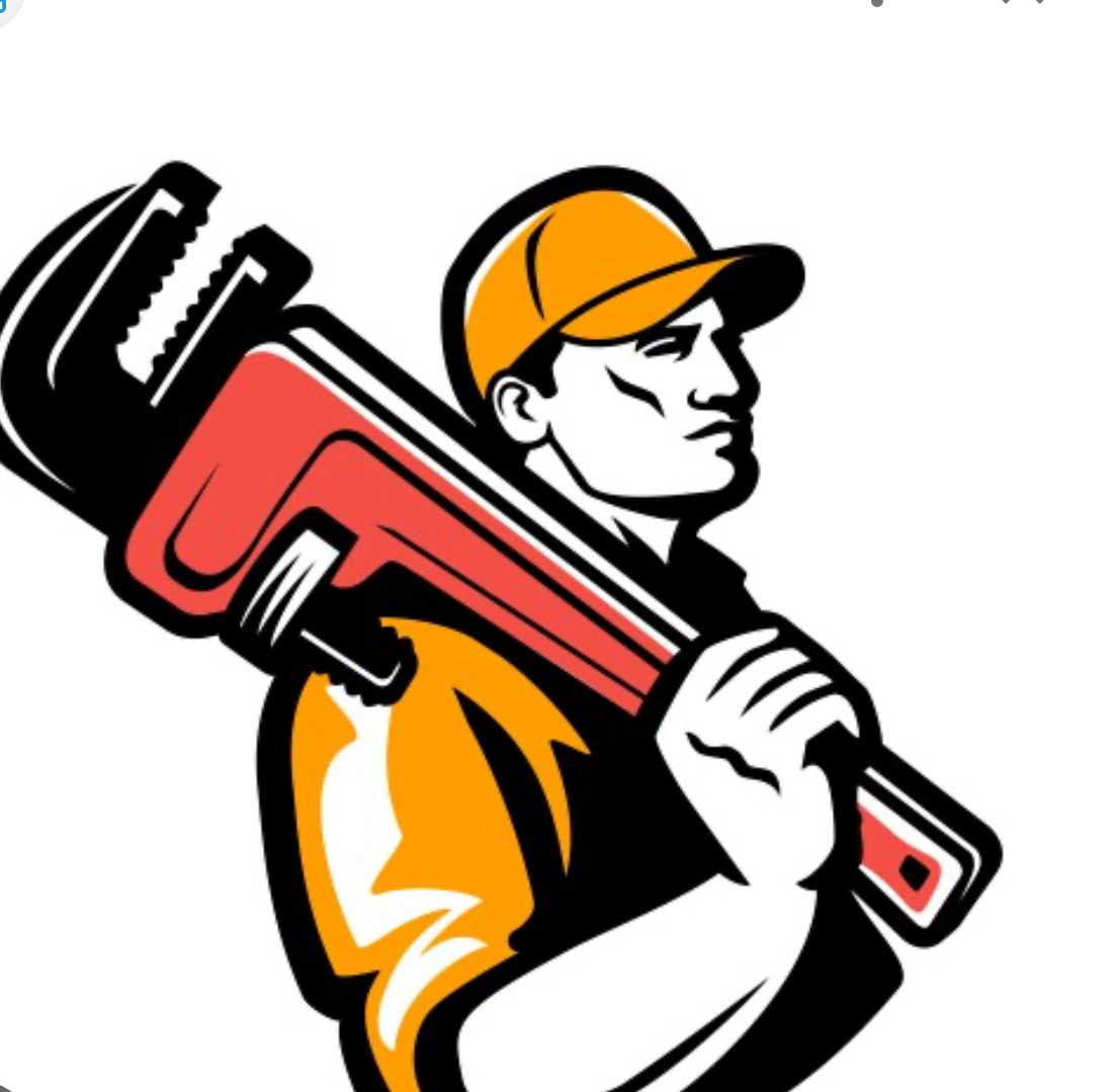 Palmetto plumbing logo