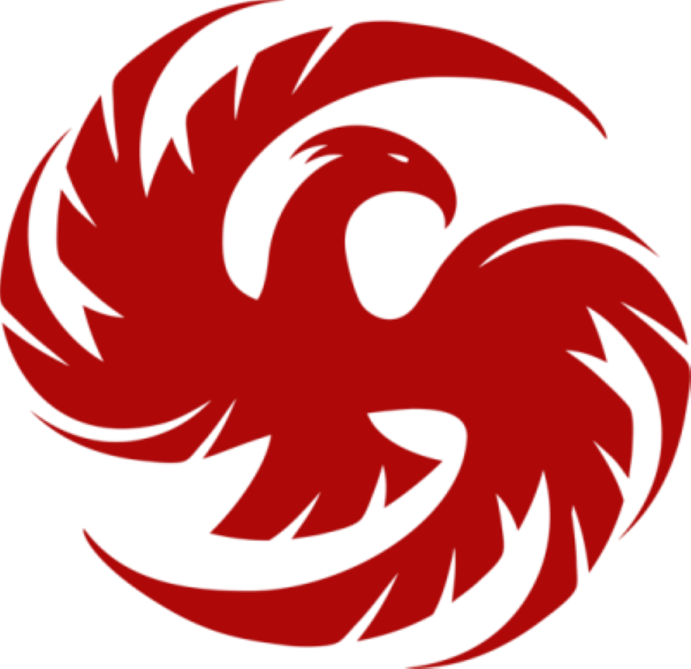 Avatar for Paragon Disaster Specialists LLC
