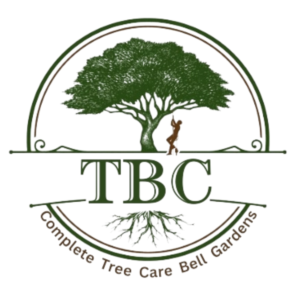 Avatar for Complete Tree Care Bell Gardens