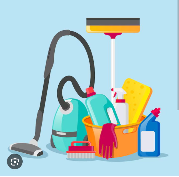 Danielle's cleaning company logo