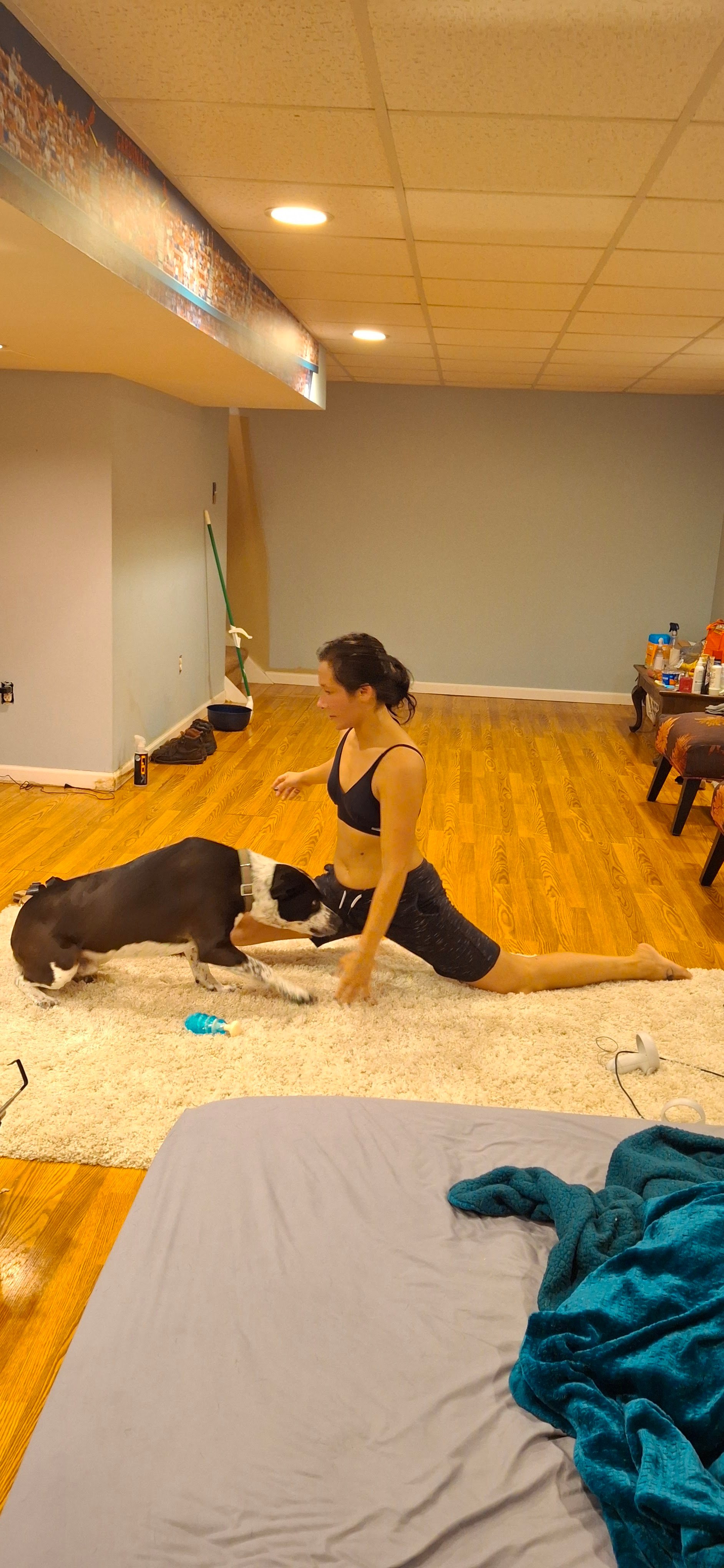 Avatar for Angelica Setiono