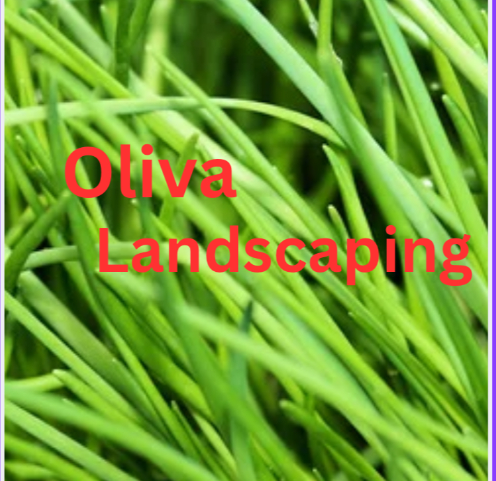 Avatar for Oliva landscaping