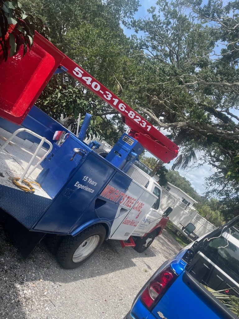 Wrights tree service logo