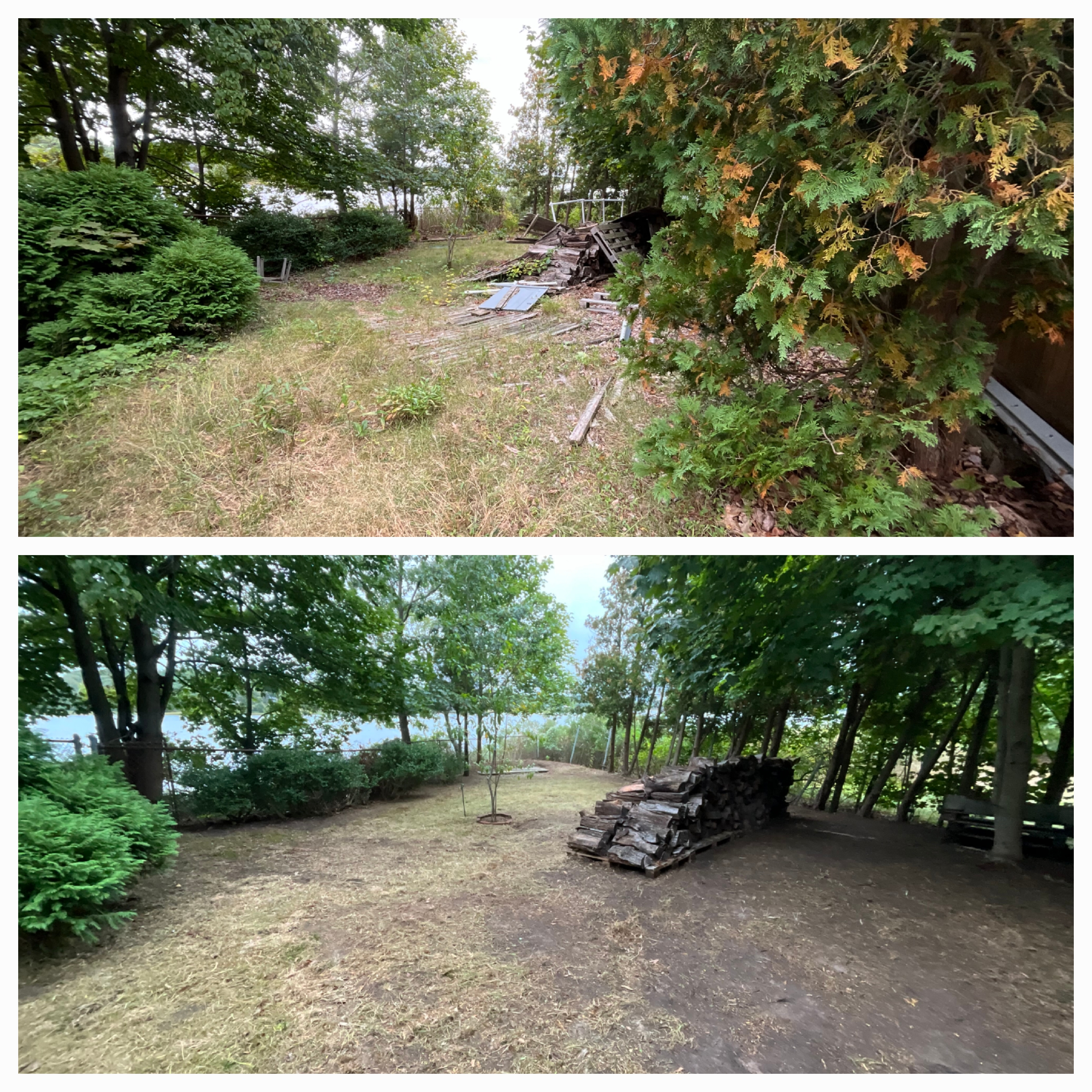 Avatar for Rough Boyz Property Services