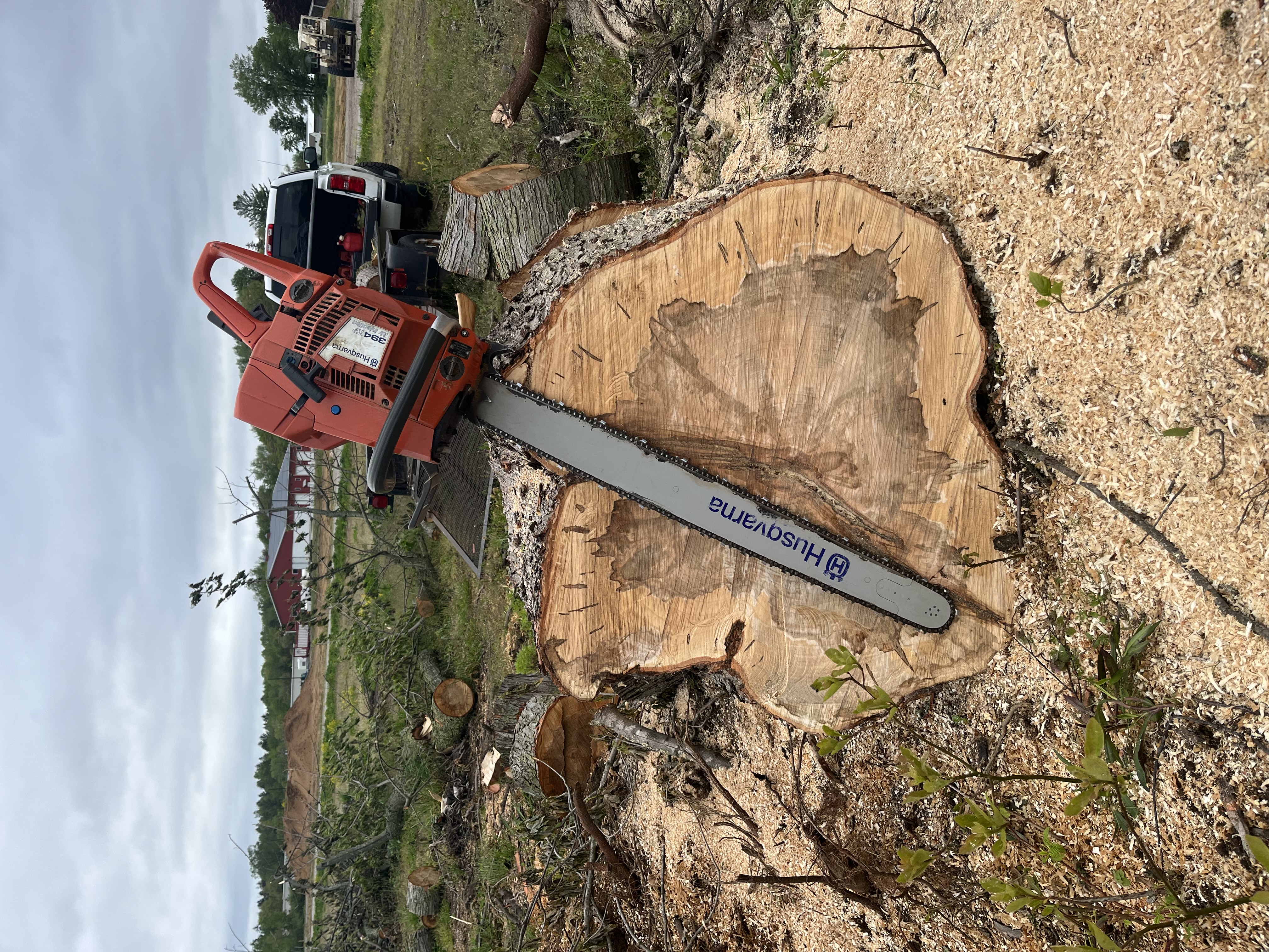 Meyer Tree Service LLC logo