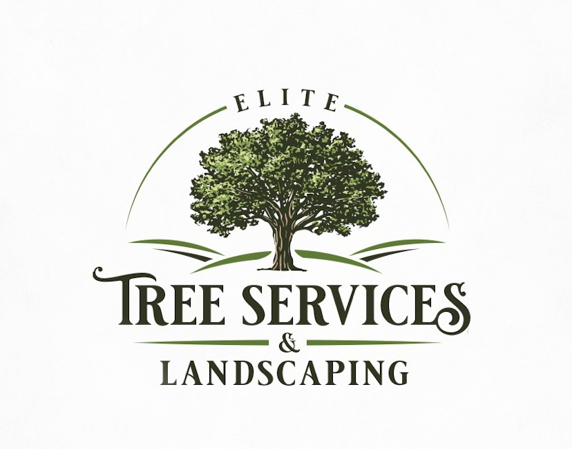 Trimming Titan logo
