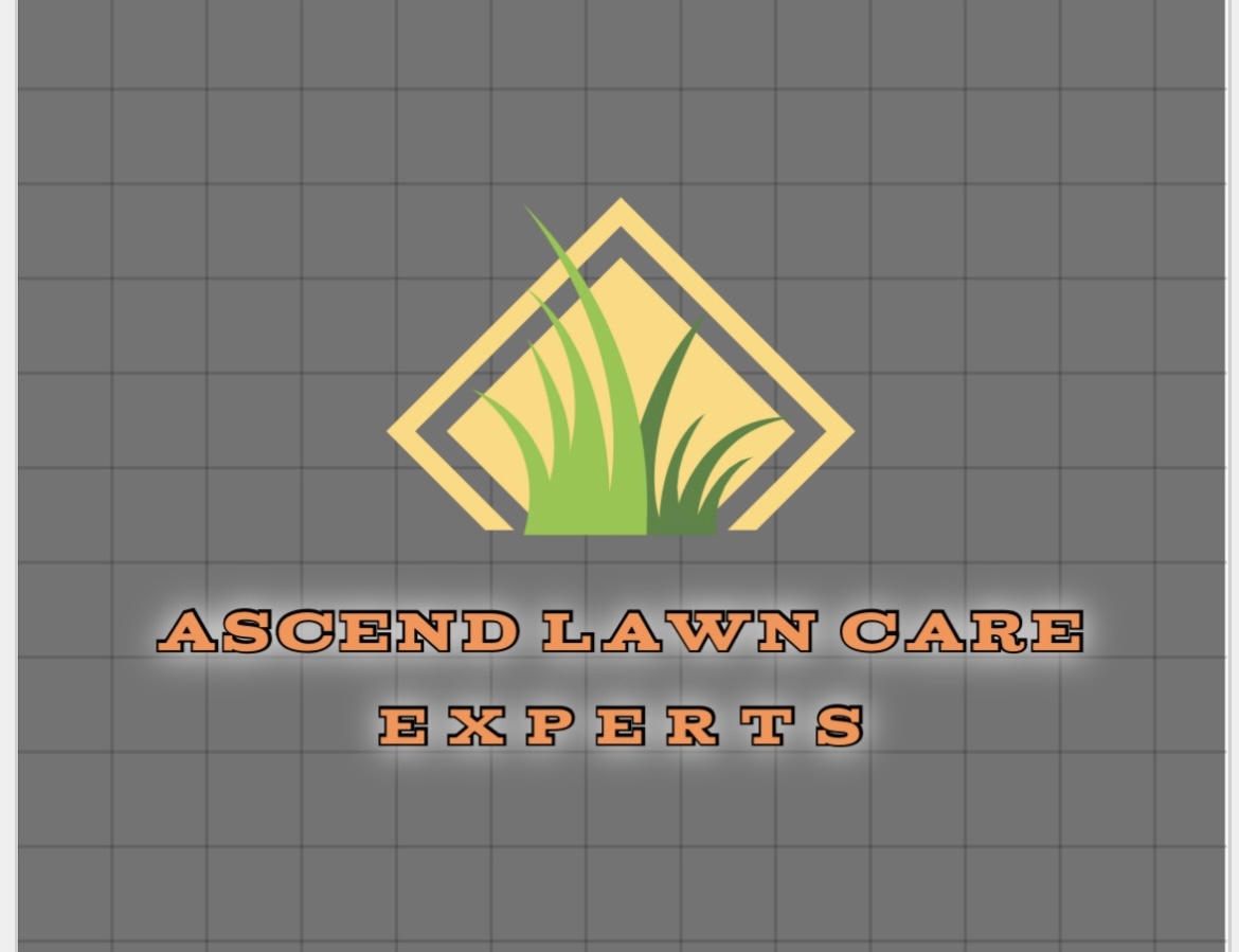 Avatar for Ascend lawn care experts