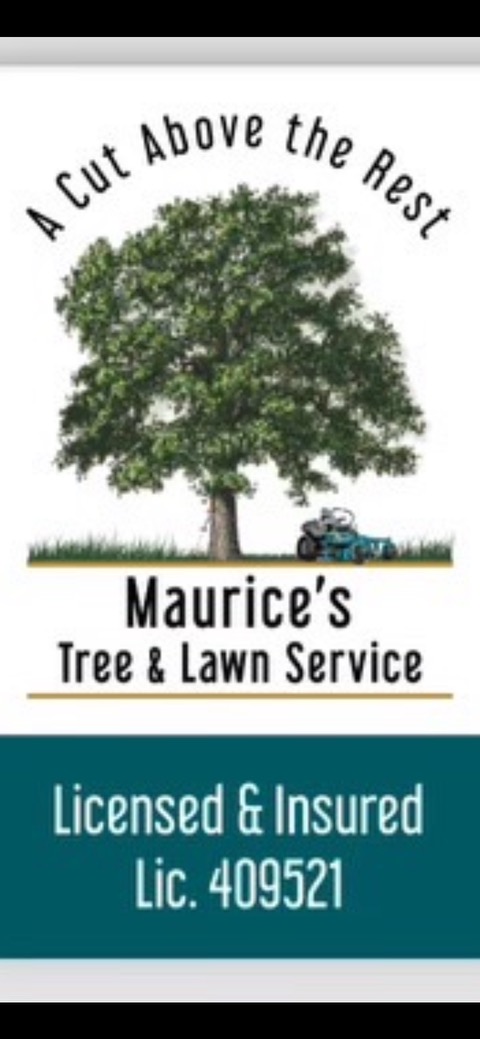 Maurice tree an lawn services logo
