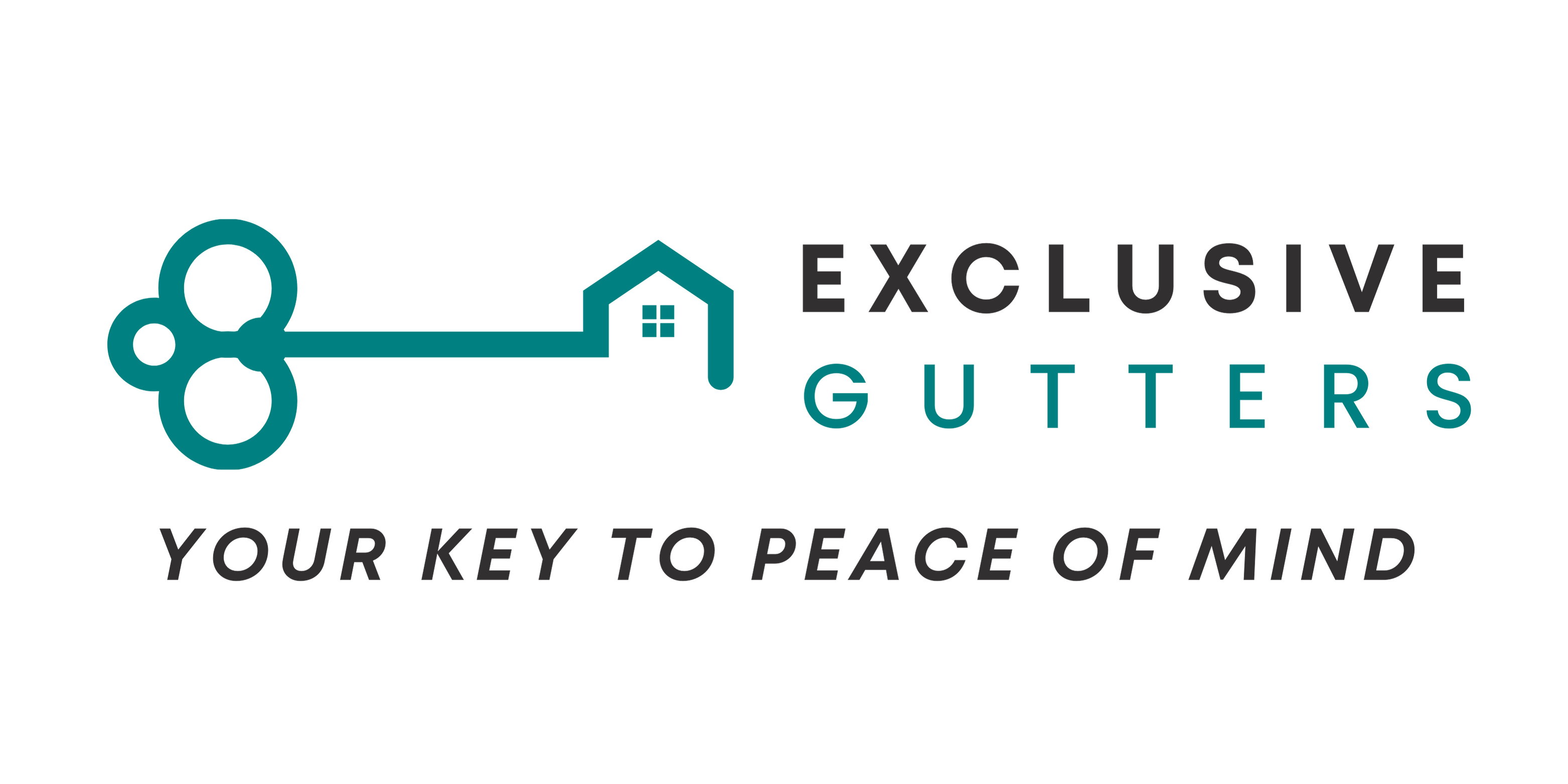 Avatar for Exclusive Gutters