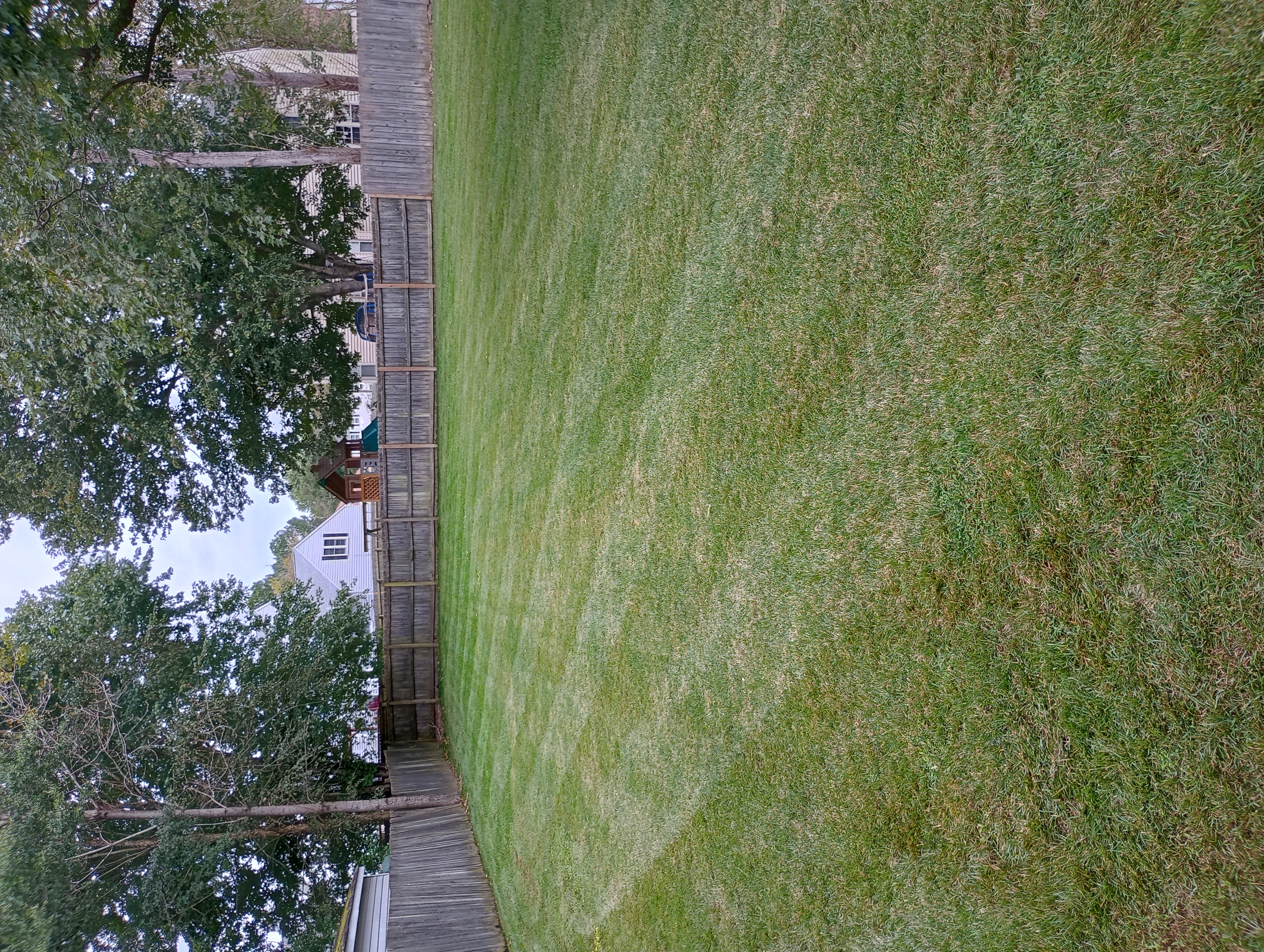 Valeria Landscaping logo
