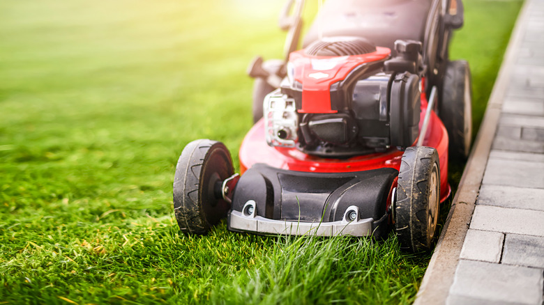 Mowing logo