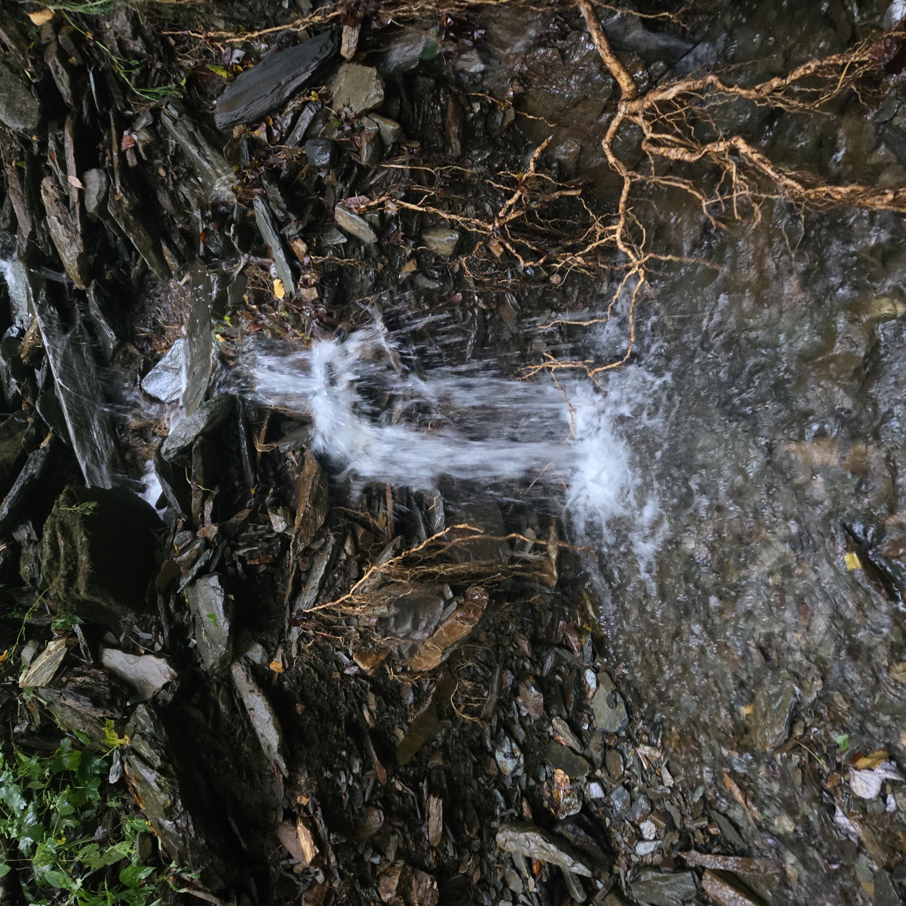 Avatar for Have a blast contracting