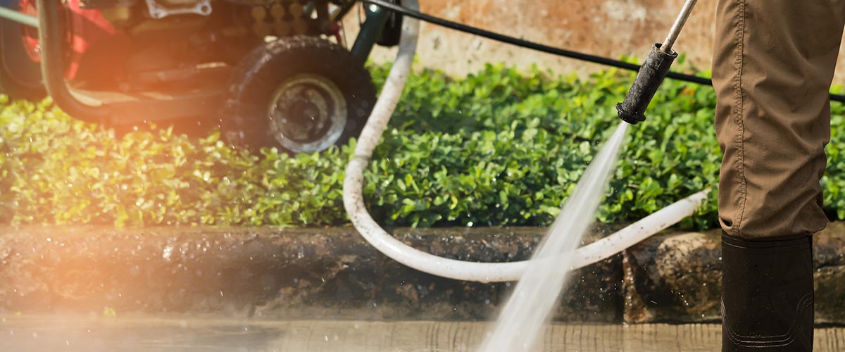 Avatar for Andrew Lewis