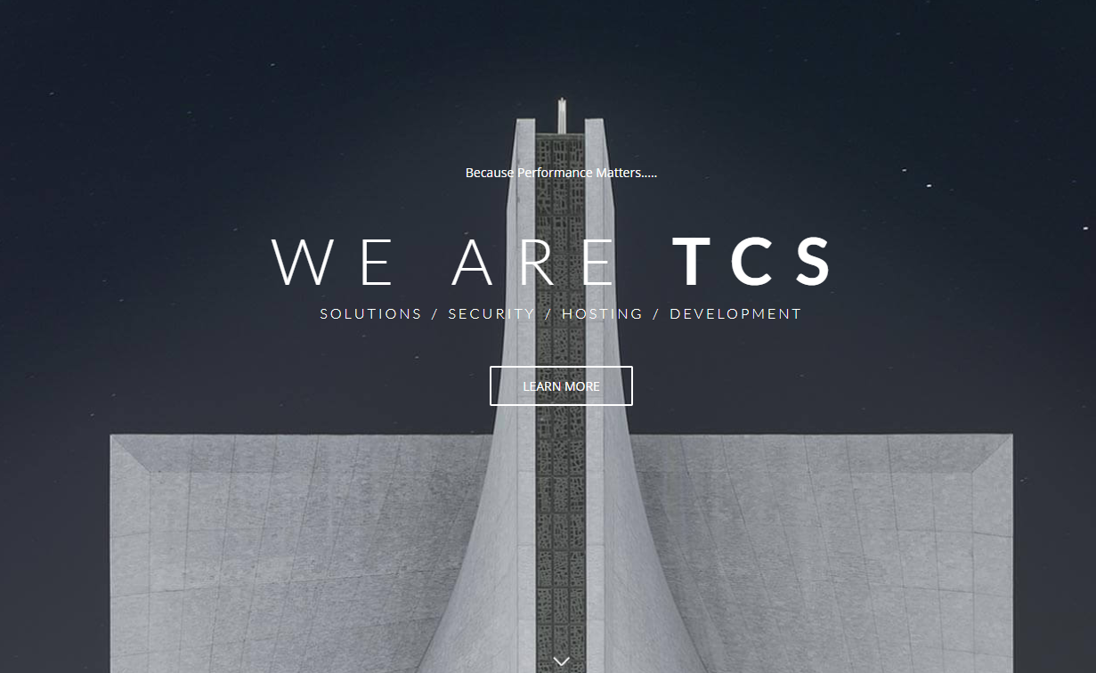Technology Consulting Services logo