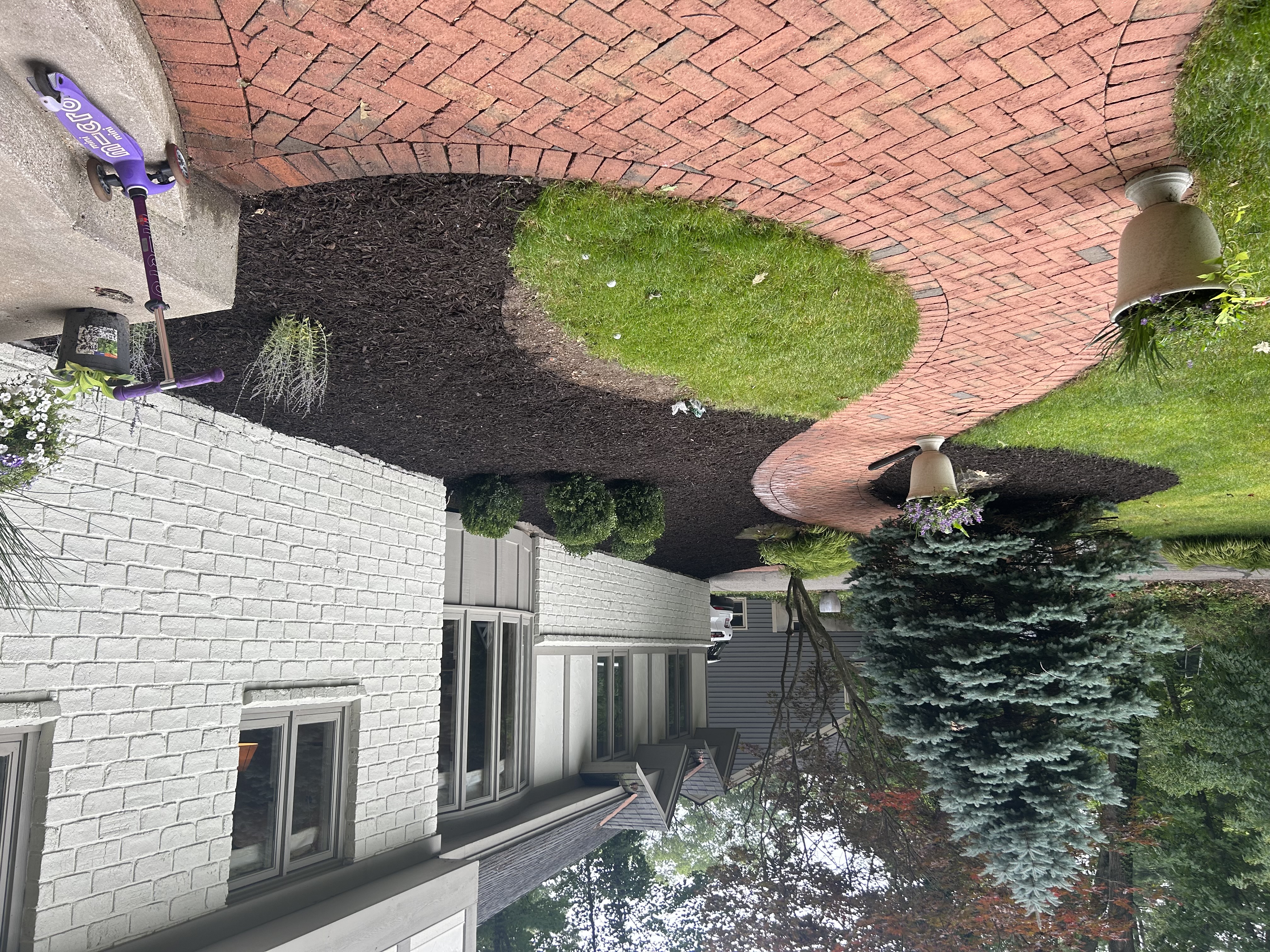 Novus Landscaping logo