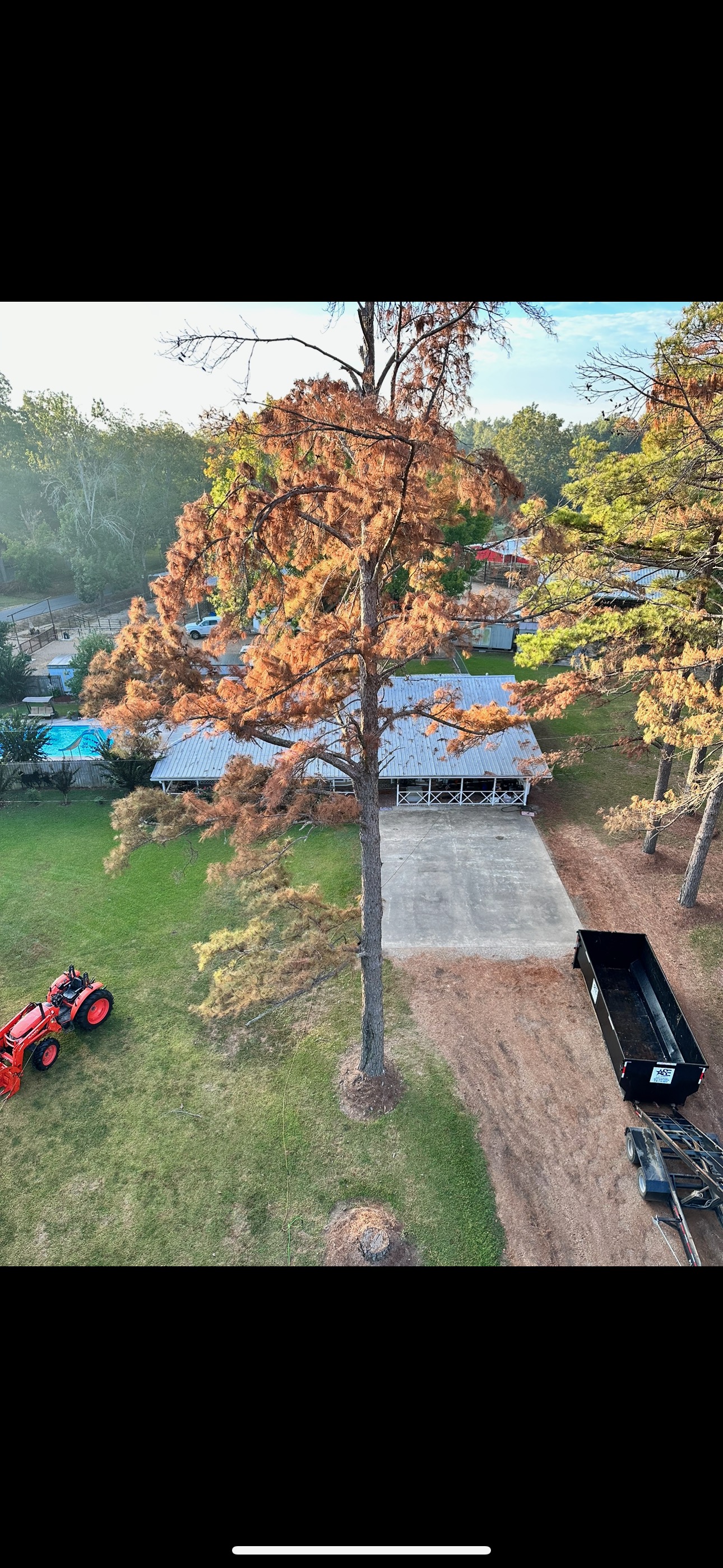 T&C Tree Services L.L.C. logo
